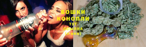 дмт Верея