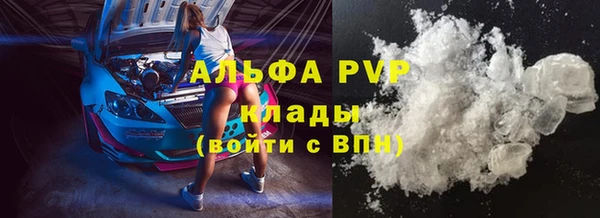 дмт Верея